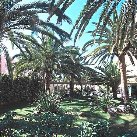 Hotel Palmira Isabela Santa Ponsa Ngoại thất bức ảnh